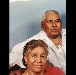 Meet your Posher, Luz